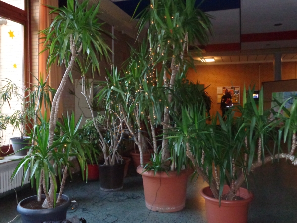 LebendigerAdventskalender 2014 LebendigerAdventskalender 2014